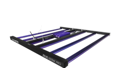 Indoor Gardening: The Smart Way to Grow with Cheap LED Grow Lights