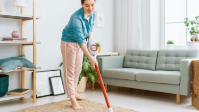 How to Use Diatomaceous Earth for Bed Bug Control