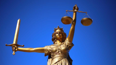 Understanding Local Law: Your Guide to Municipal Regulations in Wisconsin