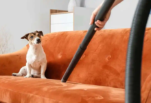 DIY Pet-Friendly Cleaning Hacks Featuring Your Lint Buster