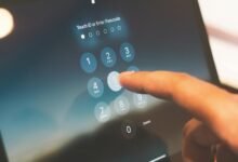 phone number lookup service