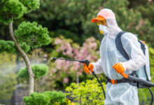 Lawn Pest Control in the Twin Cities: Ensuring the Health of Your Green Space