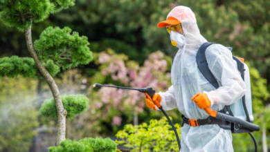 Lawn Pest Control in the Twin Cities: Ensuring the Health of Your Green Space