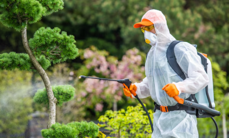 Lawn Pest Control in the Twin Cities: Ensuring the Health of Your Green Space