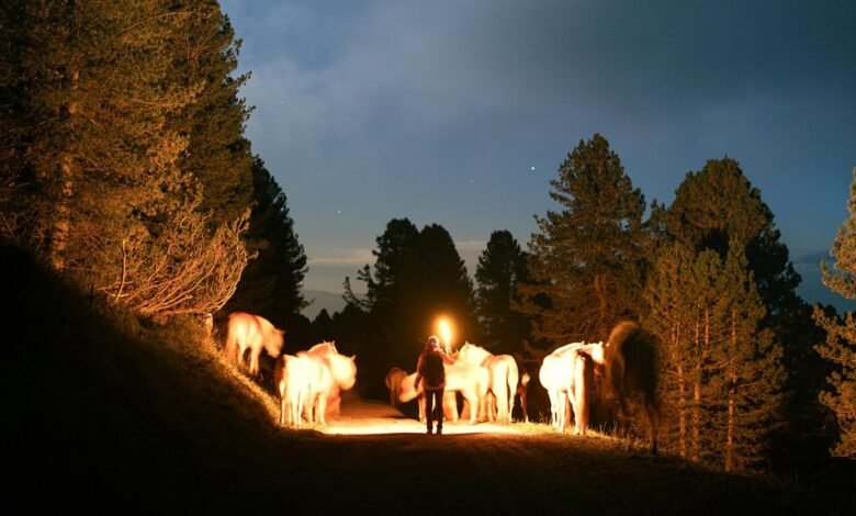 lopulgunzer usage considerations explained