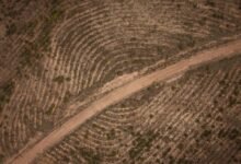 phone directory overview features