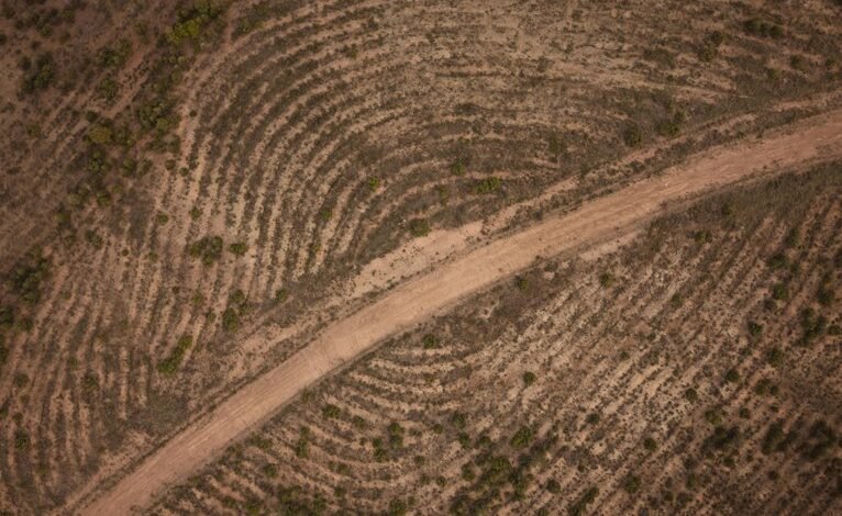 phone directory overview features