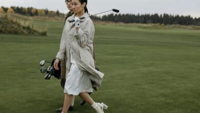 profile insights and activities